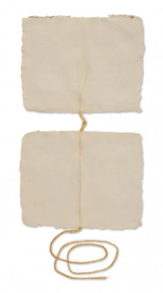 Múltiplo Rauschenberg - Page IV