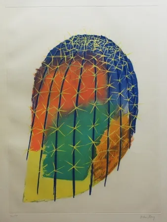 Água-Forte E Água-Tinta Ray - Transfiguration d'un cactus