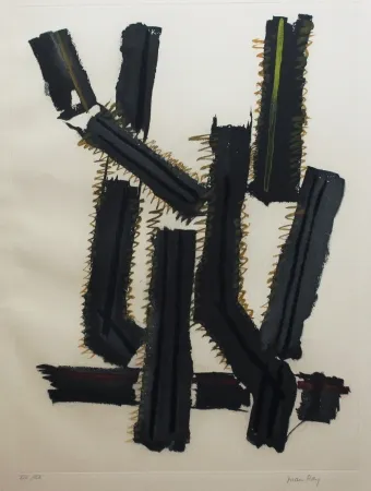 Água-Forte E Água-Tinta Ray - Transfiguration d'un cactus