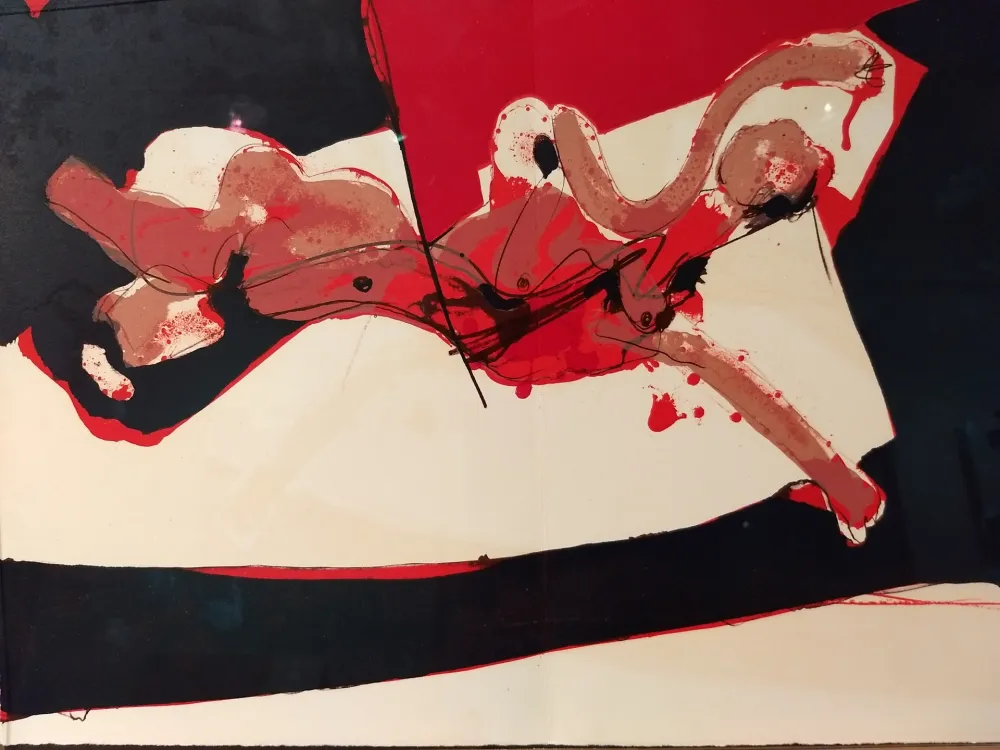 Livro Ilustrado Rebeyrolle - Coexistances