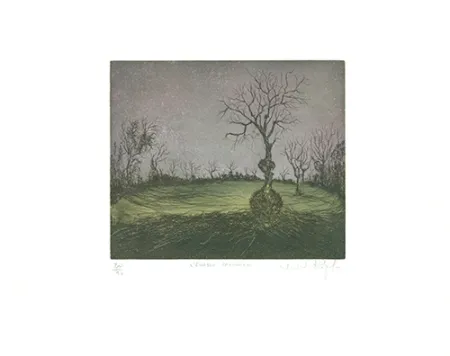 Água-Forte E Água-Tinta Rigal J.j.j. - L'Erable canadien