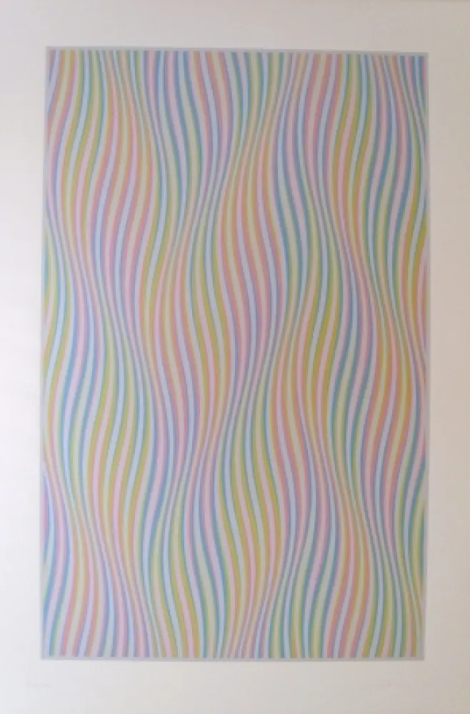 Serigrafia Riley - Elapse