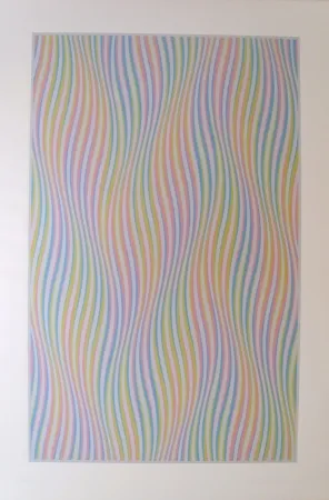 Serigrafia Riley - Elapse