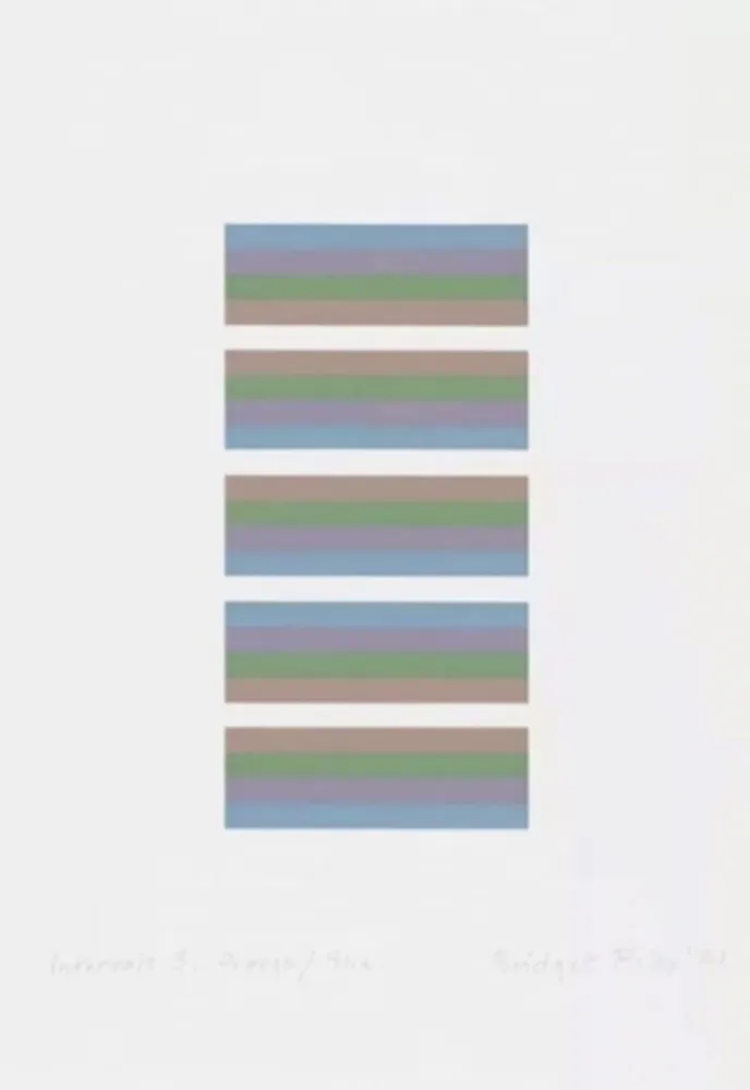 Serigrafia Riley - Intervals 3 - Orange / Blue