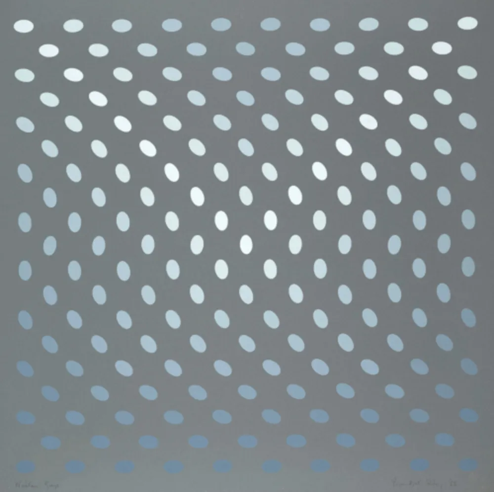 Serigrafia Riley - Nineteen Greys A