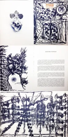 Livro Ilustrado Riopelle - Derrière le Miroir n° 232. 9 LITHOGRAPHIES ORIGINALES (1979).