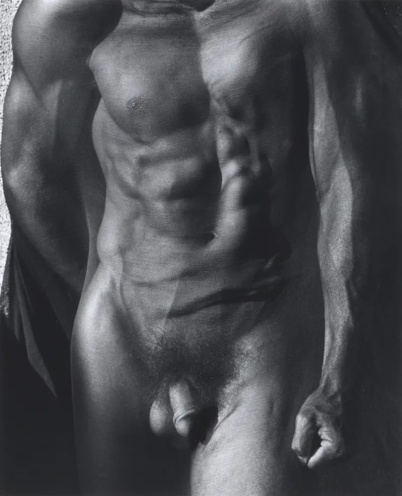 Fotografia Ritts - Male Torso with Veil (Tight), Silverlake