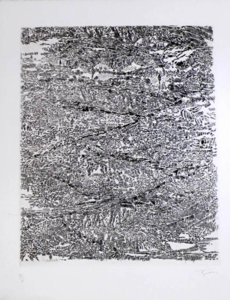 Água-Forte E Água-Tinta Rouan  - Arena