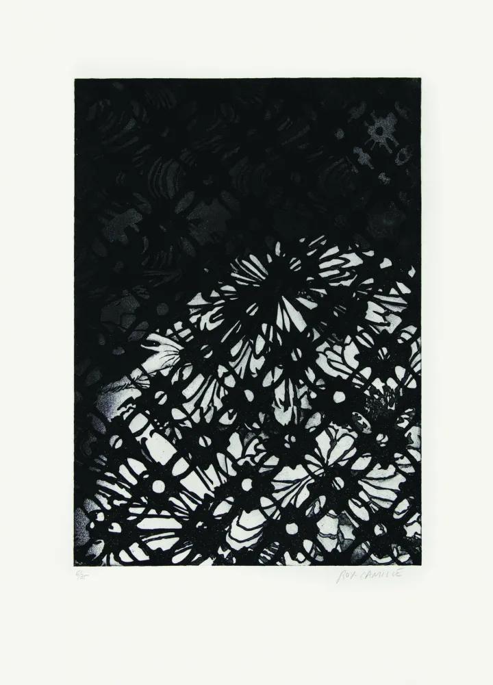 Água-Forte Roy-Camille - Ajourée