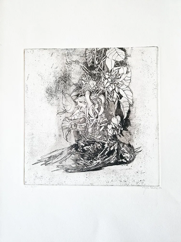 Livro Ilustrado Saroni - Sei incisioni all'acquaforte e all'acquatinta.