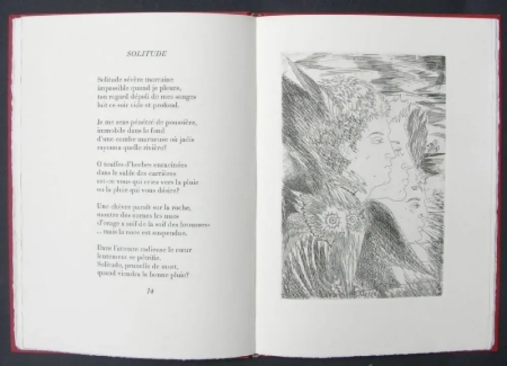 Livro Ilustrado Sassu - Page blanche beau desert