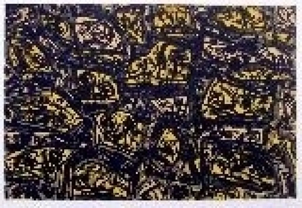 Litografia Saura - Kafka 4