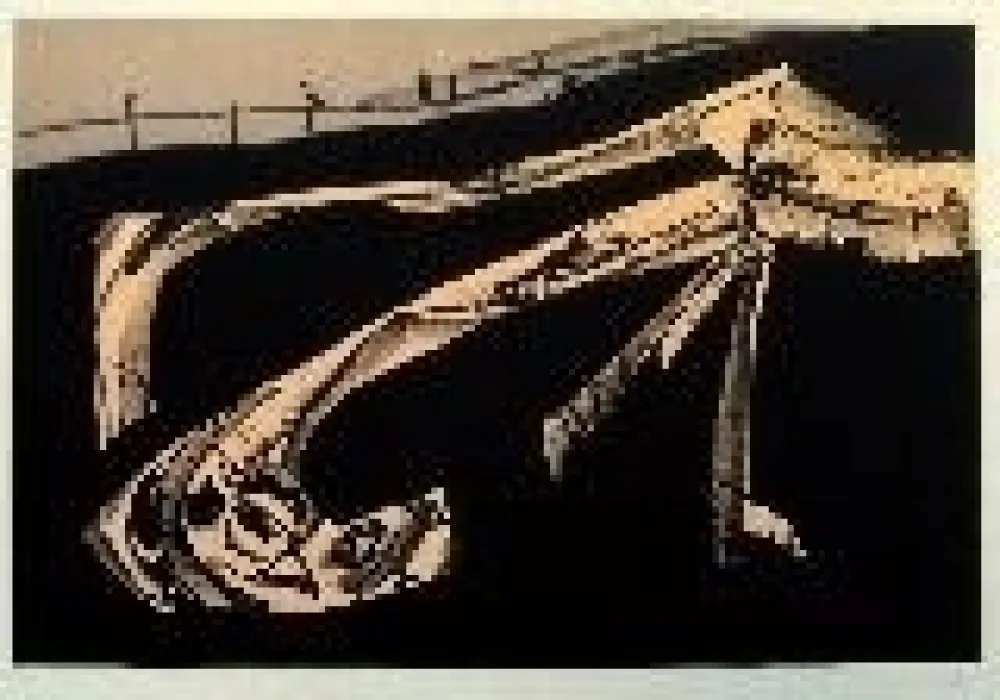 Litografia Saura - Kafka 6