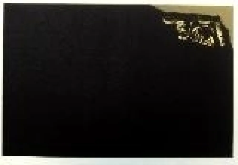 Litografia Saura - Kafka 7