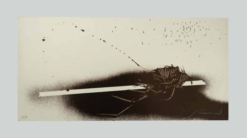 Serigrafia Scanavino - Tramature (C)