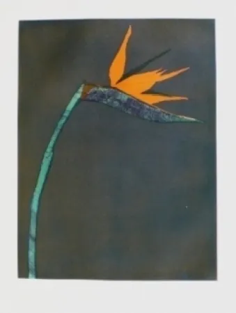 Gravura Scholder - Flower at Barcelona