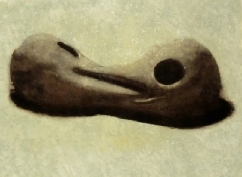 Água-Forte E Água-Tinta Senise - Sans titre