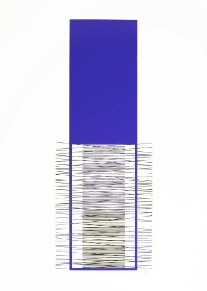 Serigrafia Soto - Caroni (Purple) 