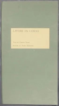Livro Ilustrado Steffanoni - Lavori in corso