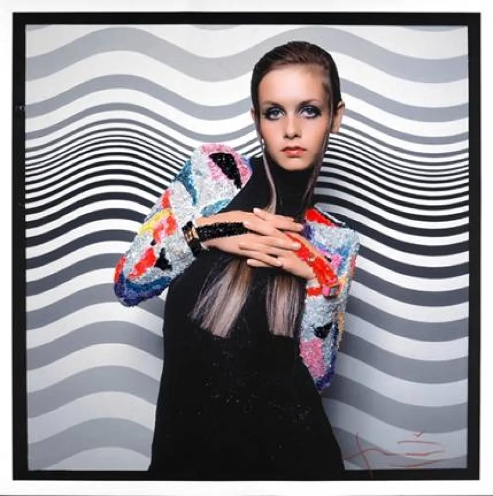 Fotografia Stern - Twiggy