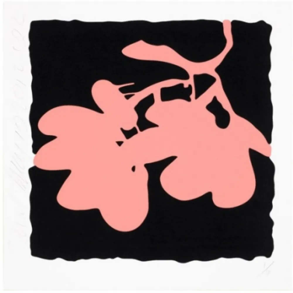 Serigrafia Sultan - Lantern Flowers, May 10, 2012 (Coral)