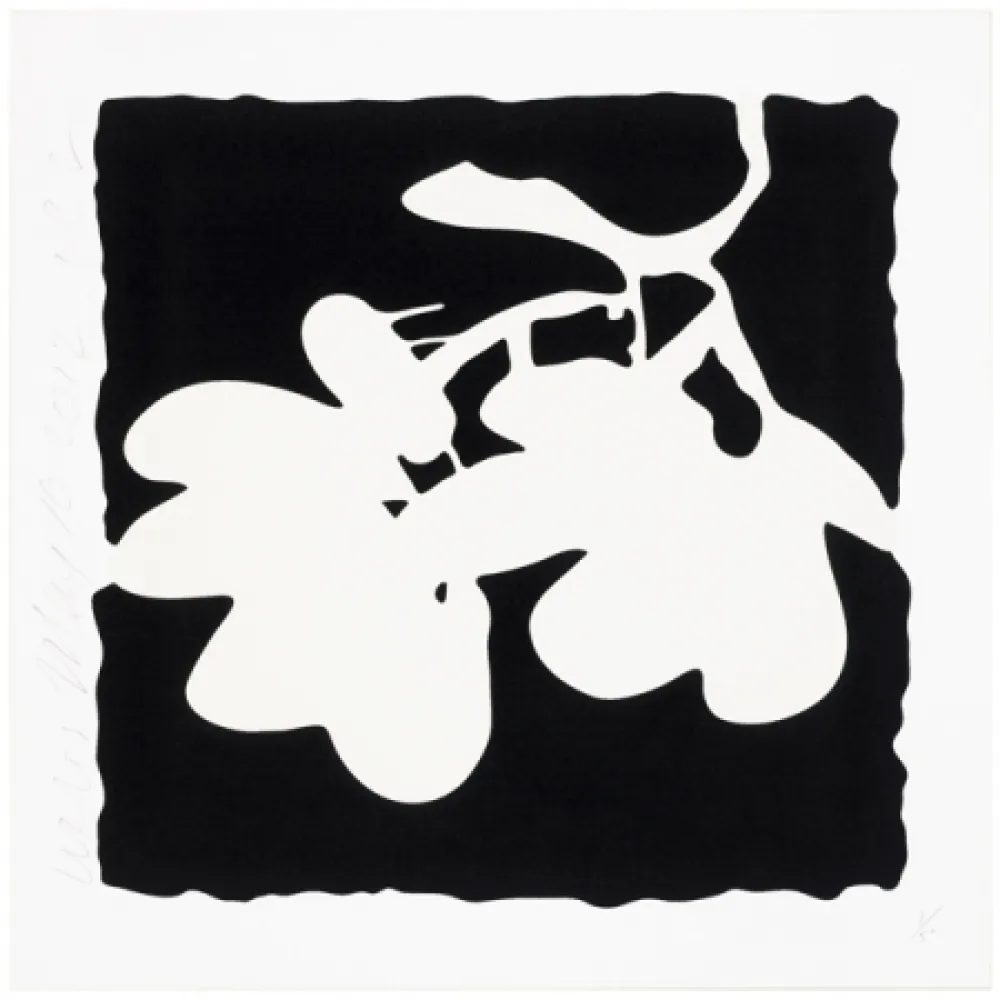 Serigrafia Sultan - Lantern Flowers, May 10, 2012 (White)
