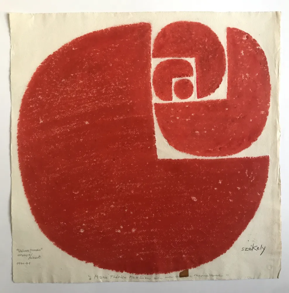 Relevo Székely - Univers pomme