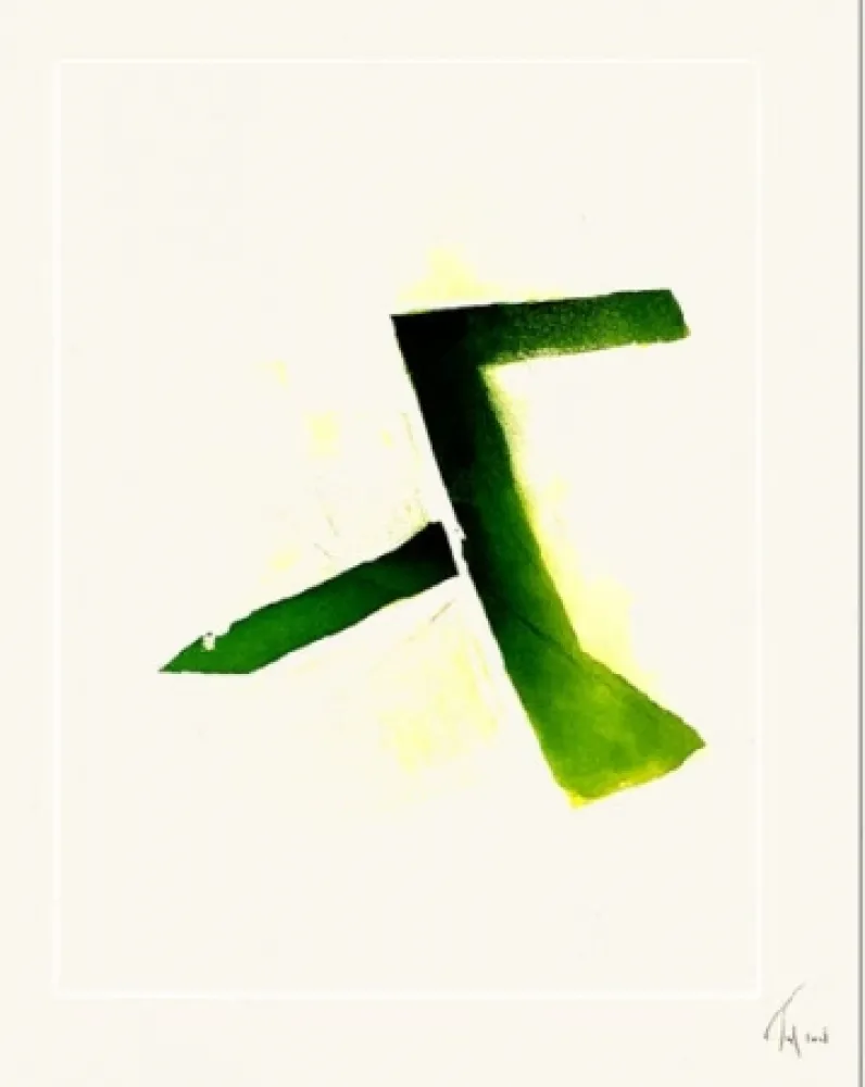 Água-Forte E Água-Tinta Tal Coat - Acide