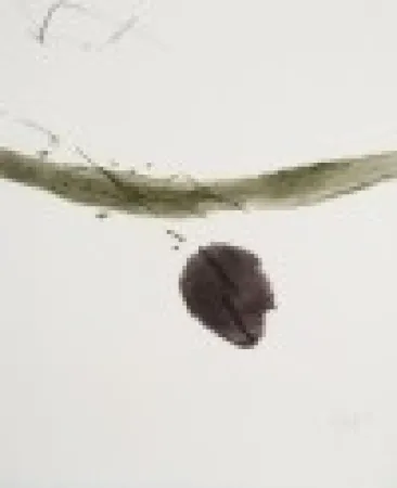 Água-Forte E Água-Tinta Tal Coat - Xème anniversaire de la fondation Maeght 