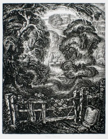 Gravura Tanner - The Old Road:  Elegy for the English Elm I