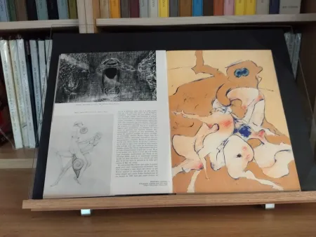 Livro Ilustrado Tanning - No 24