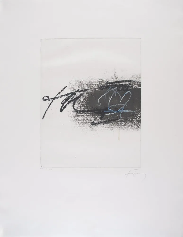 Água-Forte Tàpies - EQUATION II