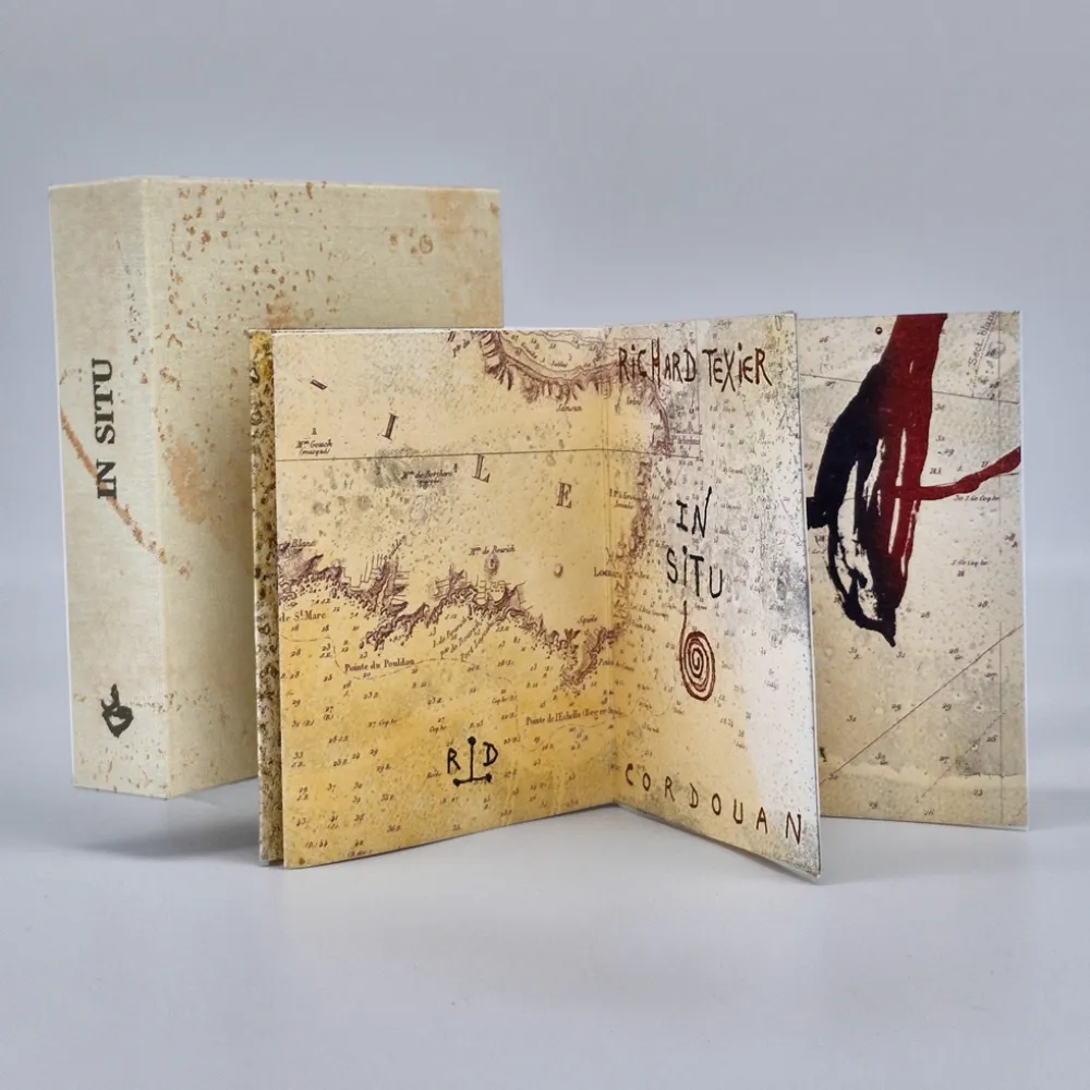 Livro Ilustrado Texier - In situ