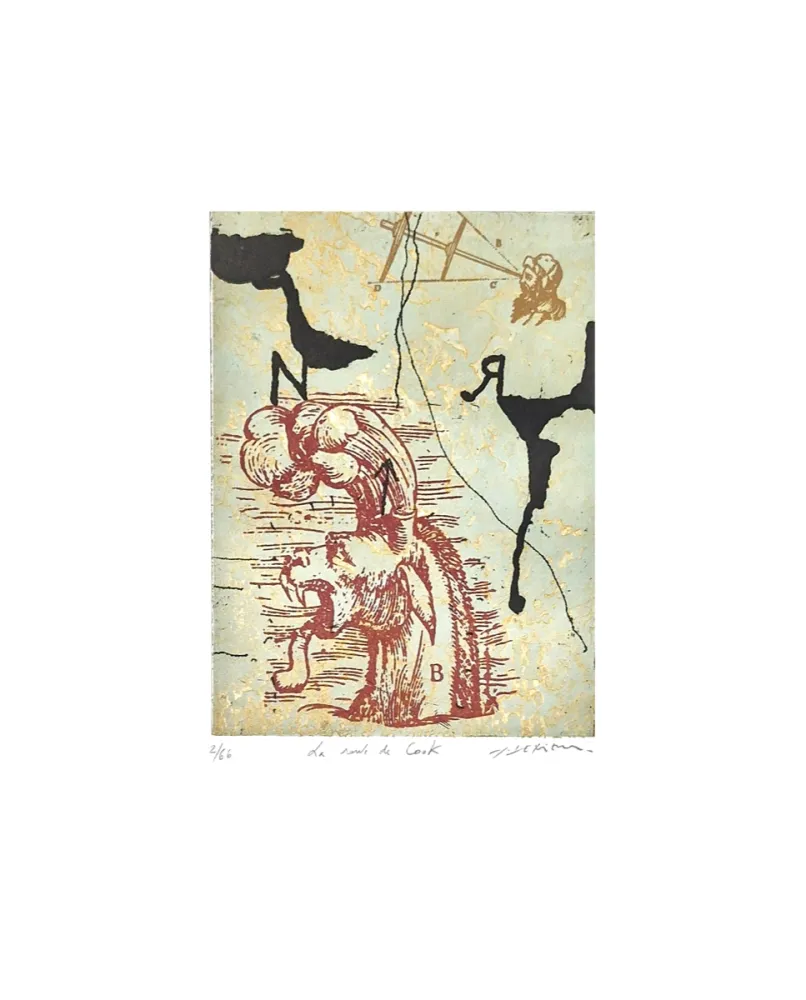 Gravura Texier - La route de Cook