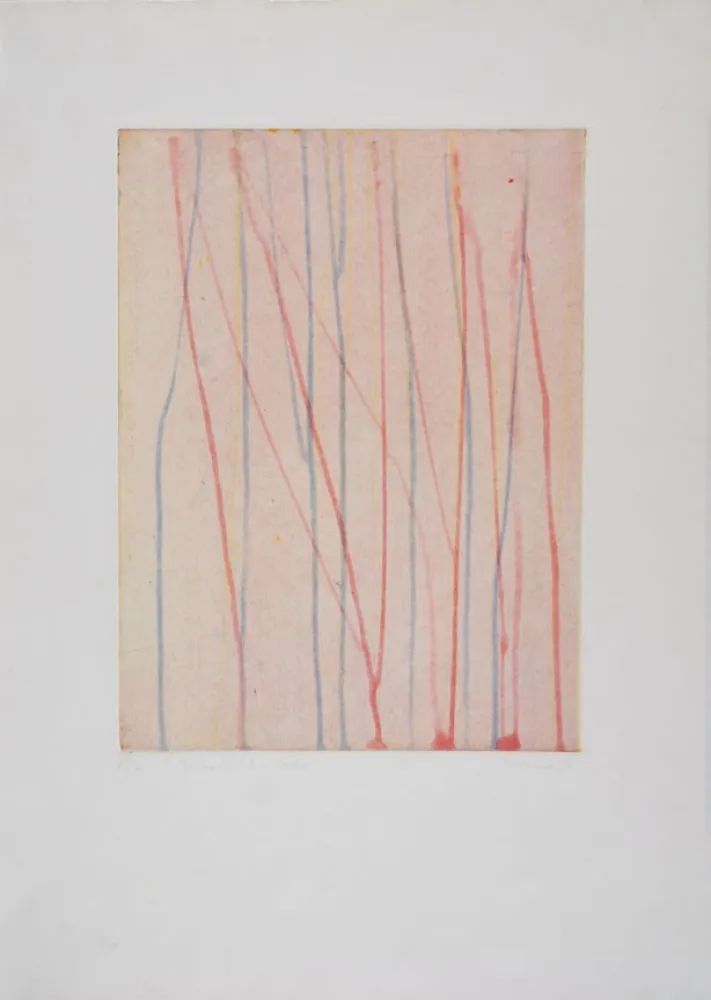 Água-Forte E Água-Tinta Thoma - 