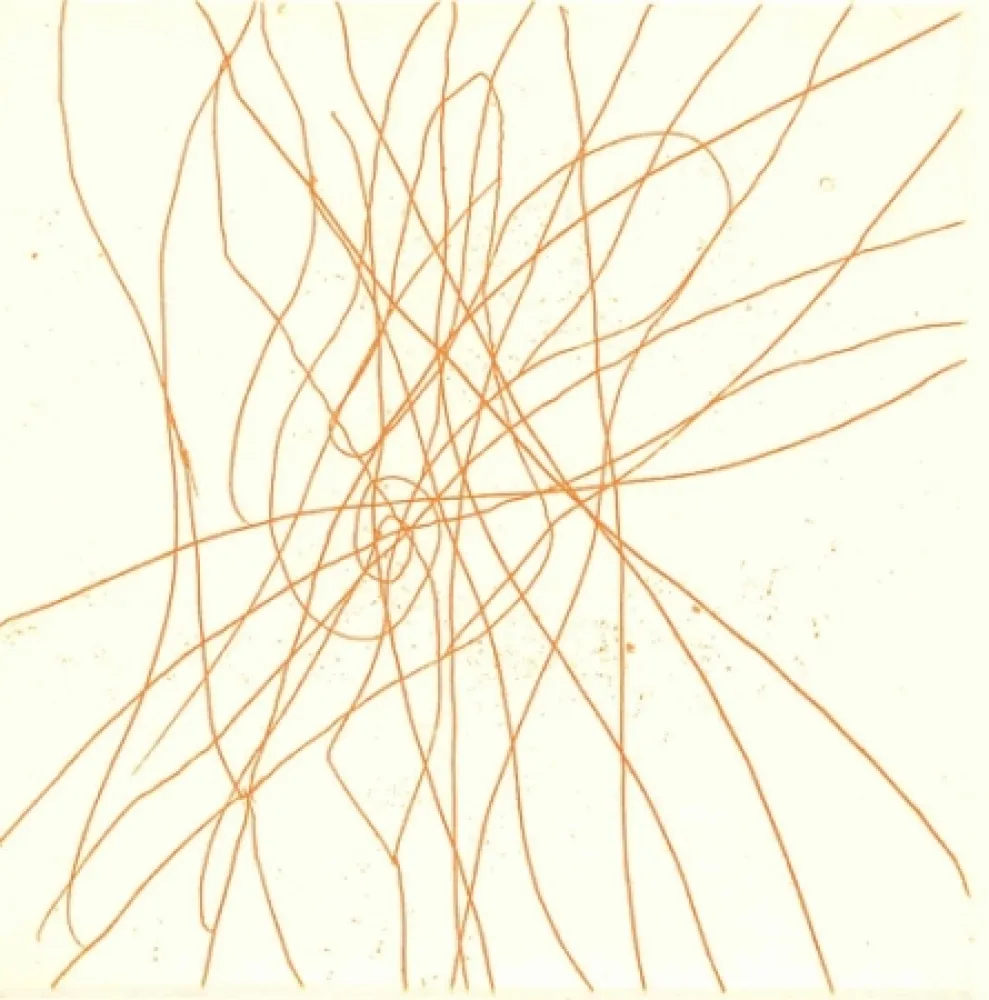 Livro Ilustrado Turcato - Poesie giovanili