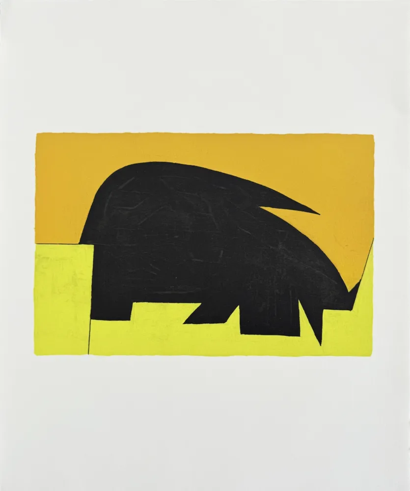 Litografia Vasarely - Garam