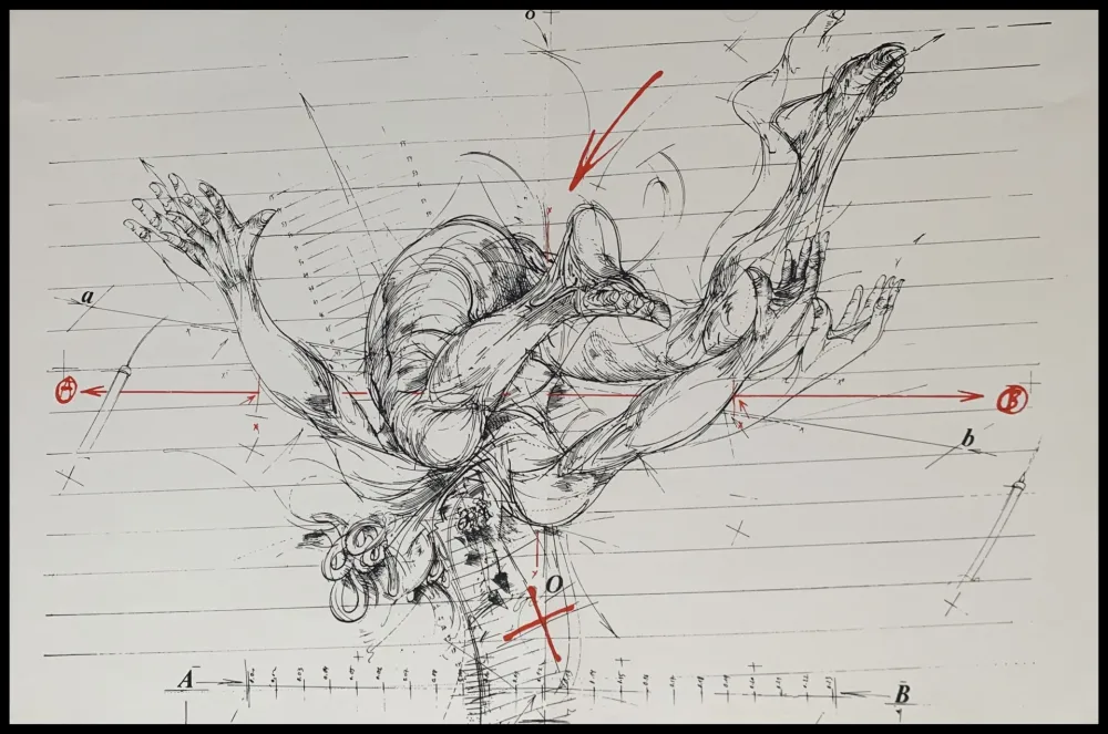 Serigrafia Velickovic - La chute