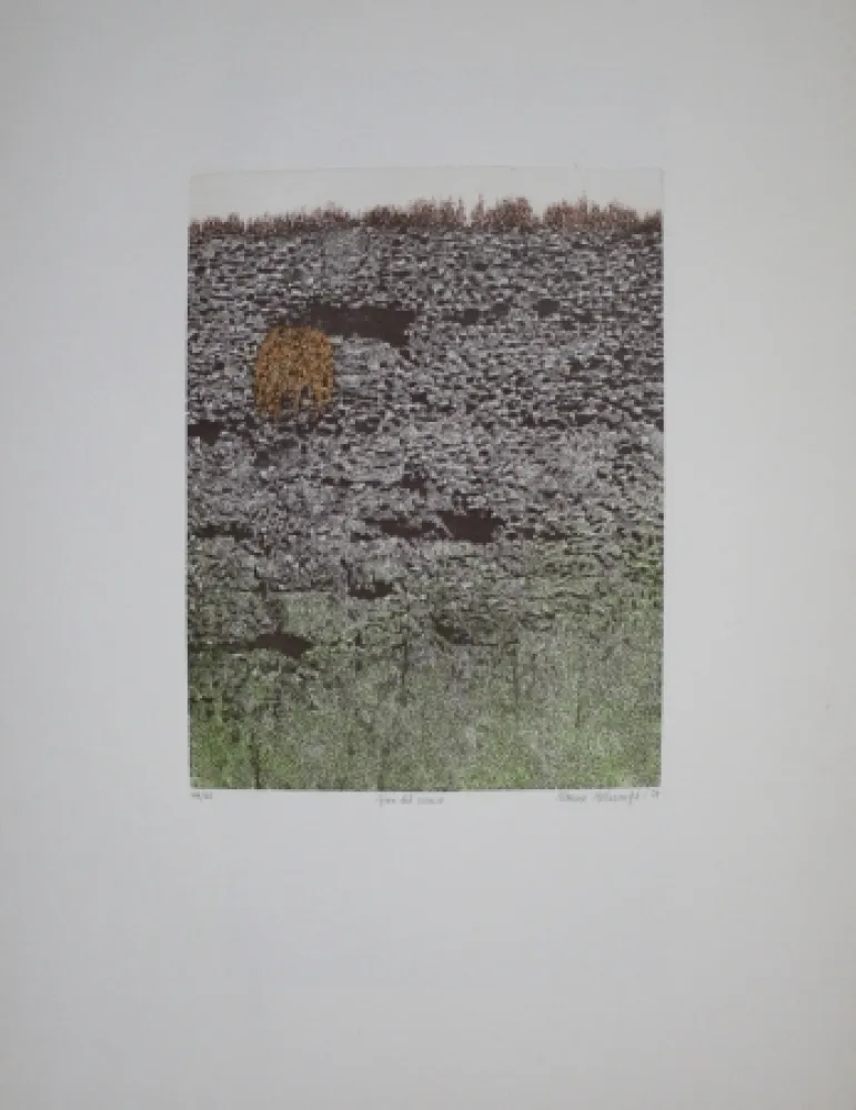 Água-Forte E Água-Tinta Vernunft - Fiori le mura