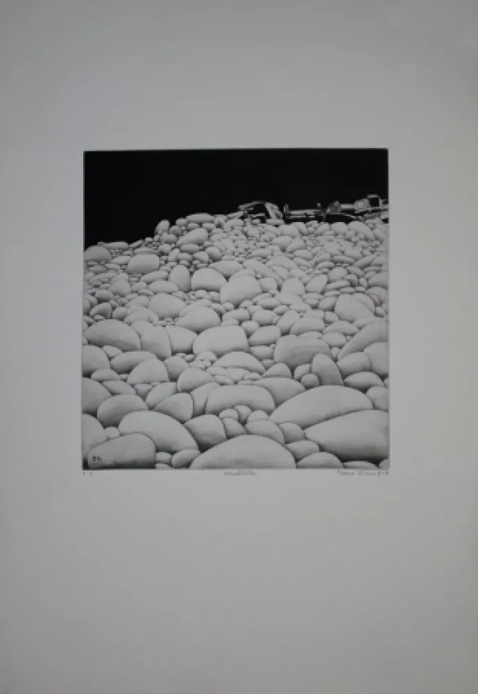 Água-Forte E Água-Tinta Vernunft - Steinblüten