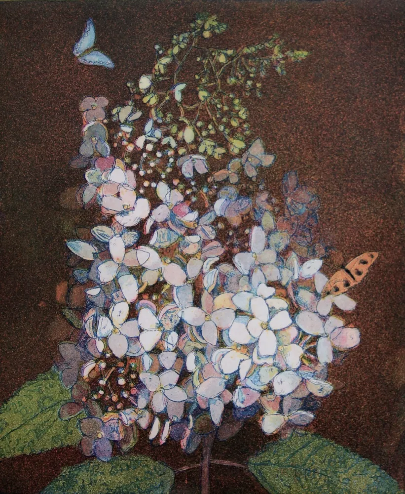 Água-Tinta Votteler - Kleine weisse Hortensie