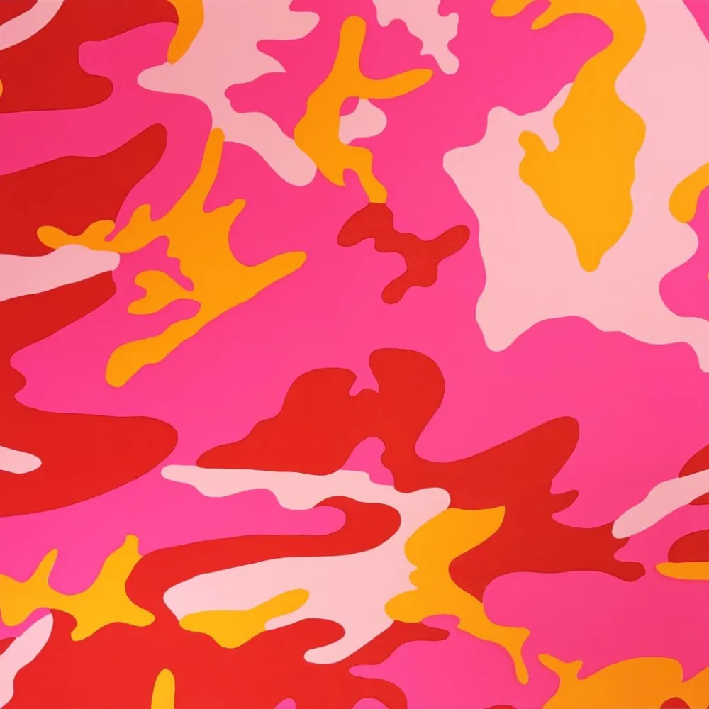 Serigrafia Warhol - Camouflage, II.408