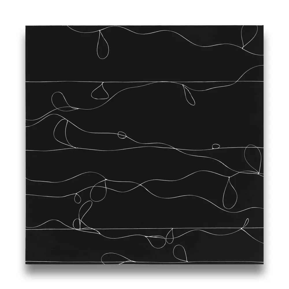 Fotografia Webber - Loops 1