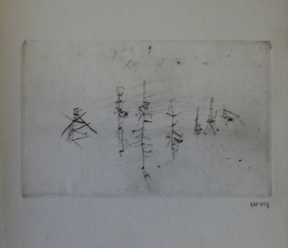 Livro Ilustrado Wols - L'invité des morts