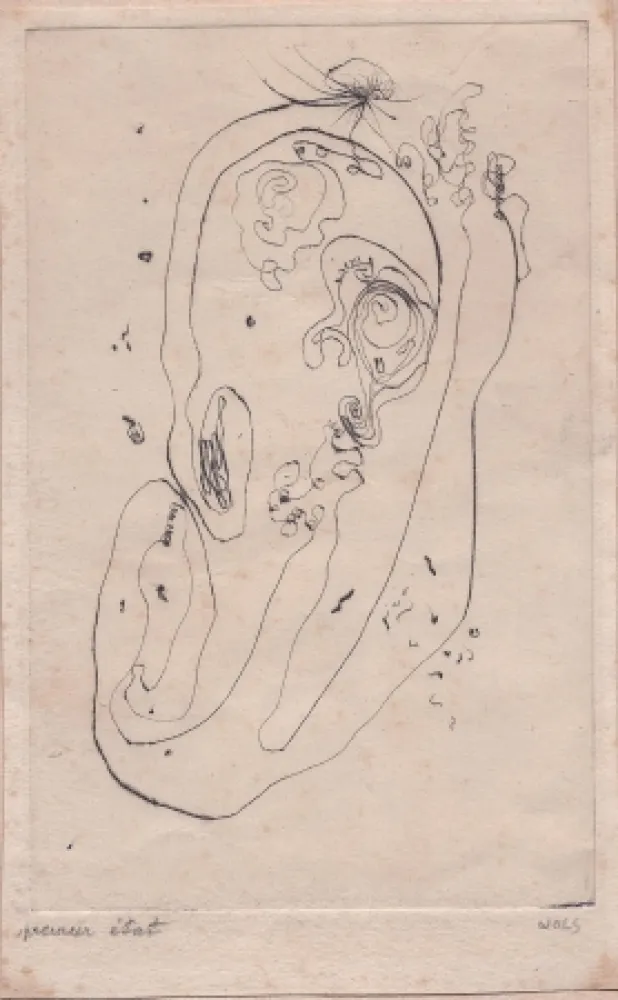 Ponta-Seca Wols - Ohr