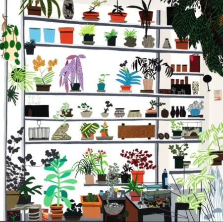 Offset Wood - Large Shelf Still Life