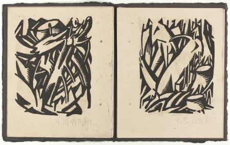 Livro Ilustrado Wörlen - Das Erleben des Waldes (The Experience of the Forest)