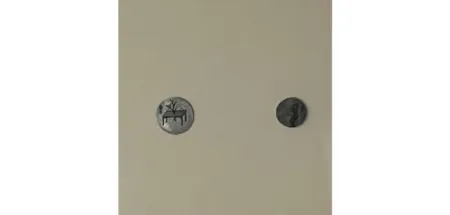 Múltiplo Youyu - Star Album 3