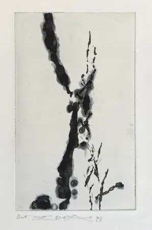 Água-Forte E Água-Tinta Zao - Rompre le cri (374)