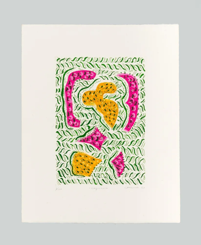 Água-Forte E Água-Tinta Accardi - Capriccio